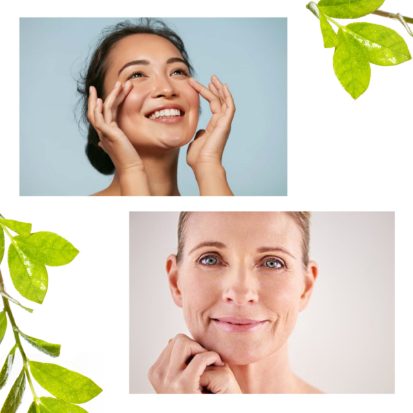 Red Algae Face Cream - Image 3