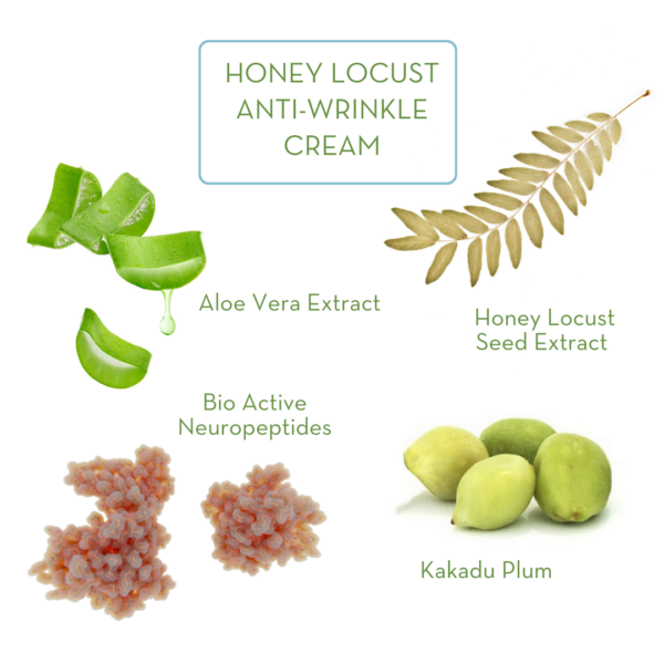 Honey Locust Anti-Wrinkle Cream - Image 2