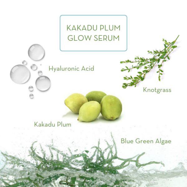 Kakadu Plum Glow Serum - Image 2