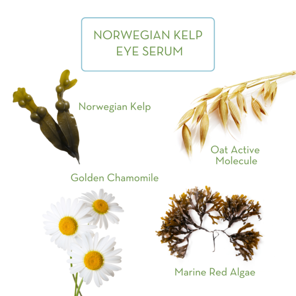 Norwegian Kelp Eye Serum - Image 2